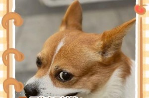 狗狗绝育后多久可以正常进食？（关于狗狗绝育后饮食恢复的一些注意事项）