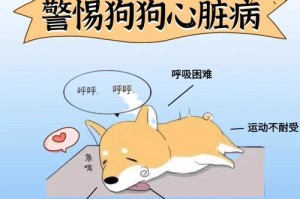 小狗为什么不能喝水？（探究小狗不能喝水的原因及解决方法）