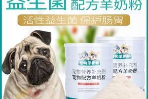 以巴哥犬的益生菌摄入是否可长期进行？（宠物的营养需求和健康状况受到关注）