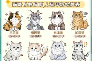 探究猫咪年龄计算之谜（揭秘猫咪年龄对照表的神秘密码）