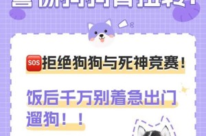 泰迪狗饭后运动的最佳时间（为保持健康，合理安排泰迪狗的饭后运动时间）