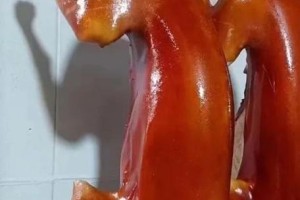金毛狗的名字选择指南（给你的金毛狗取一个与众不同的名字）