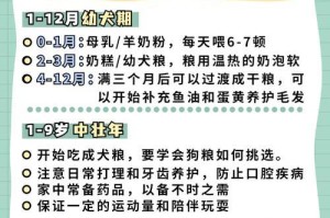 小金毛的养护与注意事项（关爱你的小金毛，健康快乐成长）