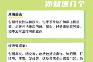 小猫的常见疾病及防治方法（保护小猫健康的必备知识）