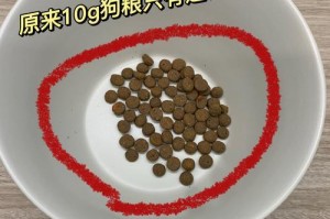 为什么狗要以狗粮为主食？（解析狗粮对狗的重要性及相关注意事项）