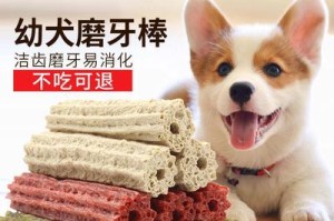 缓解狗狗口臭，从饮食调理开始（让你的爱犬远离口臭，关键在于饮食）