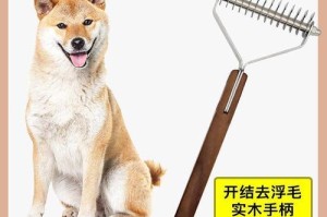 秋田犬毛发的护理（让你的秋田犬时刻保持健康的毛发）