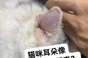 猫耳朵的神奇之处（揭开猫耳朵的秘密，看它们的多重作用）