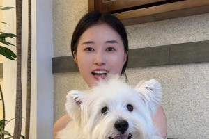 女生最适合养什么狗狗？（选择最贴心的狗狗伴侣，一起度过美好时光）