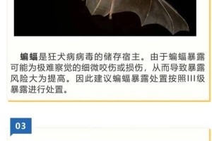 狗狗打过疫苗为什么还会生病？（探究疫苗失效的原因及预防措施）