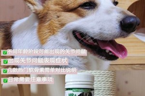 如何预防宠物狗狗的关节疾病（从平常做起，让你的宠物健康快乐）