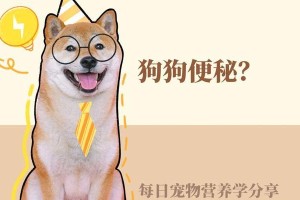 狗狗便秘，你了解多少？（原因、症状及治疗方式一网打尽！）