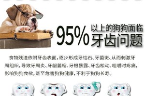 狗狗磨牙棒的成分及其作用（探索磨牙棒的成分，为宠物提供更好的咀嚼体验）