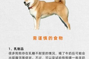 幼犬的饮食需求及建议（为你的宝贝狗狗提供健康营养的饮食）