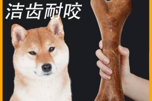狗狗为什么喜欢叼着零食玩？（探索狗狗叼零食玩的原因与行为意义）