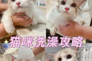 让宠物更健康——为什么定期给猫咪洗澡是必要的？（多种好处尽在其中，）