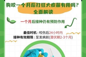 狗得狂犬病的潜伏期有多久？（狂犬病的发展过程与预防措施）