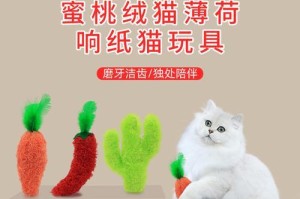 如何给2个月的小猫选择适合的玩具