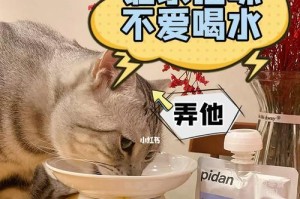 猫咪饮水攻略（鼓励猫咪多喝水，让它们健康快乐）