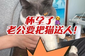 生完孩子多久可以养猫？（考虑到新生婴儿的健康和安全，应该在适当的时间后才能养猫）