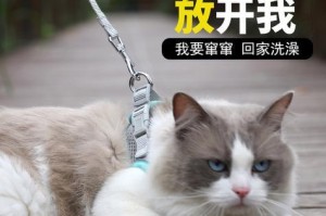 如何让猫咪晚上安静？（栓猫咪晚上叫的最佳方法）