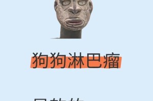 犬淋巴瘤（深入探索犬淋巴瘤的病因、症状和治疗方法）
