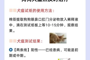 狗狗预防犬瘟的饮食指南（科学饮食是预防犬瘟的关键）