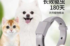 猫什么时候去虱？（探究猫咪虱子问题的时机及解决方案）
