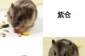 仓鼠公公婆婆与三线的区别（探究仓鼠公公婆婆和三线之间的特征和差异）