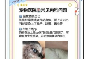 狗狗的驱虫时间表及注意事项（保护宠物健康，及时驱虫才是王道）