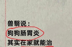 狗狗胃炎的症状、药物治疗及预防方法（了解狗狗胃炎的表现和常见治疗药物，为宠物提供及时的护理）