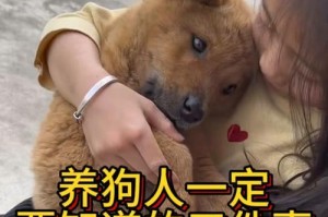如何省钱为大型狗提供适宜的食物（以低成本满足大型狗的营养需求）