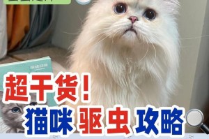 猫咪驱虫费用一次多少钱？（按规定时间驱虫，保护宠物健康）