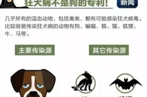 狗传染给人的疾病及防护措施（保护自己和宠物的关键）