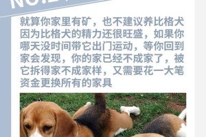 圣伯纳犬（揭秘圣伯纳犬迷人之处，网友表示不想换狗了）