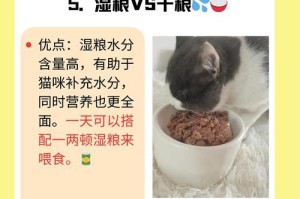 猫咪吃完驱虫药后需要等多久才能进食？（探究驱虫药对猫咪进食时间的影响）