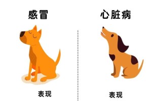 小狗生病了，这些症状你必须知道！（了解小狗常见疾病的症状，提前预防保护它们的健康。）