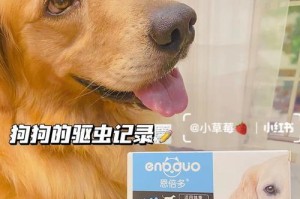 宠物驱虫全攻略（从犬猫驱虫的基础知识到防治方法，全面了解宠物的驱虫知识）