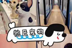 选择适合孩子养的宠物（培养责任感，增进亲子关系）