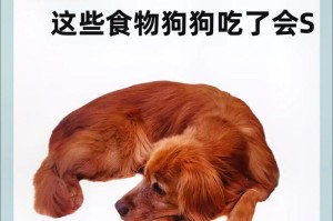 比格犬的饮食需求与健康饮食指南（营养均衡、少吃零食，让比格犬健康成长）