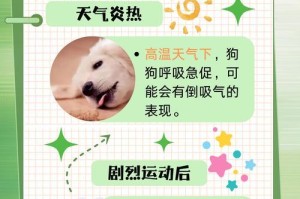 如何缓解宠物狗的过度兴奋？（宠物狗过度兴奋的原因及应对方法）