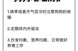 狗狗吐黄水，需检查哪些问题？（狗狗吐黄水的可能原因及应对方法）