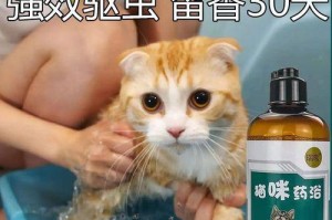 宠物猫咪的驱虫周期（养猫必备知识，驱虫不可忽视）