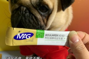 狗狗便便有血拉稀，如何选择适合的药物治疗？（以提高肠道健康为关键，合理用药保护狗狗的消化系统）