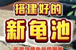 四眼斑水龟的养护全指南（从宠物入手，带你了解四眼斑水龟的饲养要点）