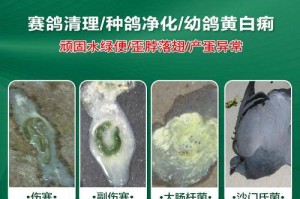 鸟类营养不足的症状及应对方法