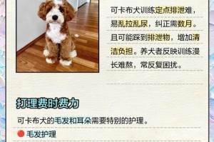 养可卡犬的最佳方法（如何正确饲养可卡犬，让它健康快乐成长）