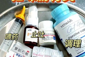 猫肠胃炎的康复时间及关键因素解析（猫肠胃炎的治疗过程和康复速度取决于什么？）