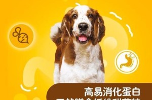狗狗消化问题解决方案（探寻能帮助狗狗消化的药物，）