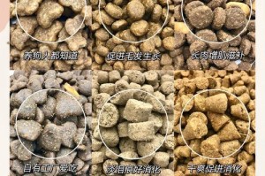 狗狗饮食频率（探索狗狗饮食规律，为宠物的健康护航）